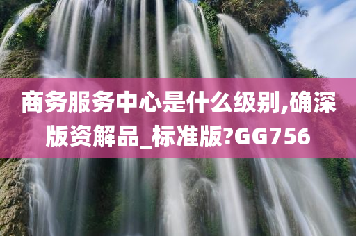 商务服务中心是什么级别,确深版资解品_标准版?GG756