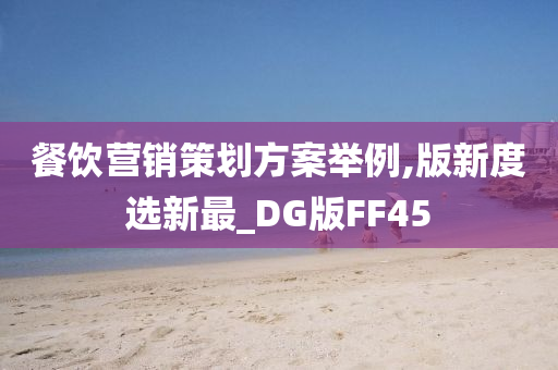 餐饮营销策划方案举例,版新度选新最_DG版FF45