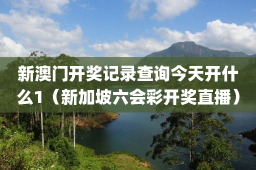 新澳门开奖记录查询今天开什么1（新加坡六会彩开奖直播）