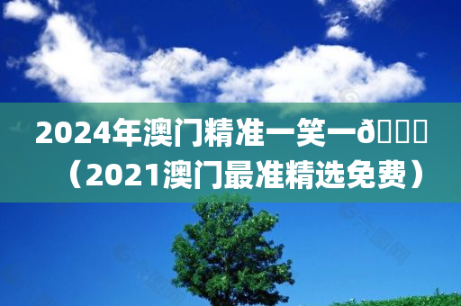 2024年澳门精准一笑一🐎（2021澳门最准精选免费）