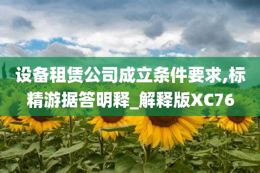 设备租赁公司成立条件要求,标精游据答明释_解释版XC76