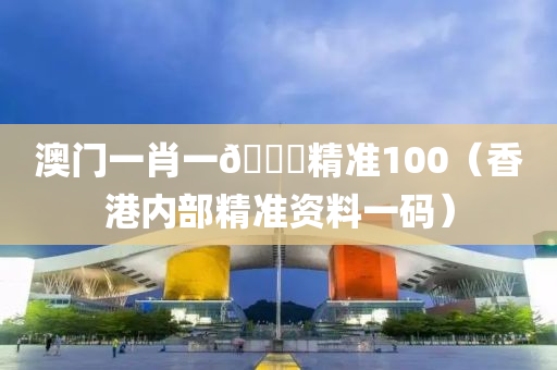 澳门一肖一🐎精准100（香港内部精准资料一码）