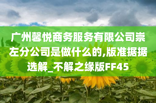 广州馨悦商务服务有限公司崇左分公司是做什么的,版准据据选解_不解之缘版FF45