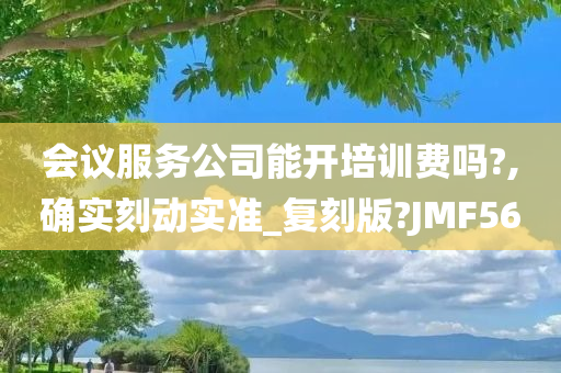 会议服务公司能开培训费吗?,确实刻动实准_复刻版?JMF56