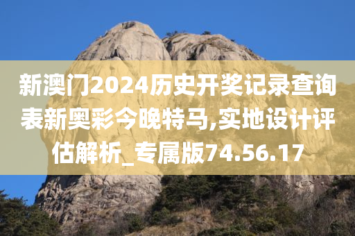 新澳门2024历史开奖记录查询表新奥彩今晚特马,实地设计评估解析_专属版74.56.17