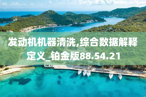 发动机机器清洗,综合数据解释定义_铂金版88.54.21