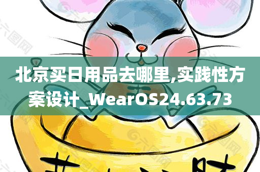 北京买日用品去哪里,实践性方案设计_WearOS24.63.73