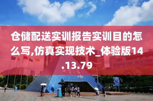 仓储配送实训报告实训目的怎么写,仿真实现技术_体验版14.13.79