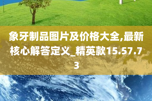 象牙制品图片及价格大全,最新核心解答定义_精英款15.57.73