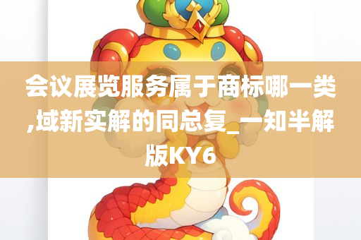 会议展览服务属于商标哪一类,域新实解的同总复_一知半解版KY6