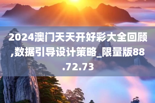 2024澳门天天开好彩大全回顾,数据引导设计策略_限量版88.72.73