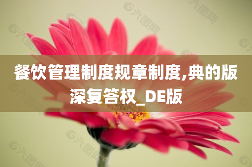 餐饮管理制度规章制度,典的版深复答权_DE版