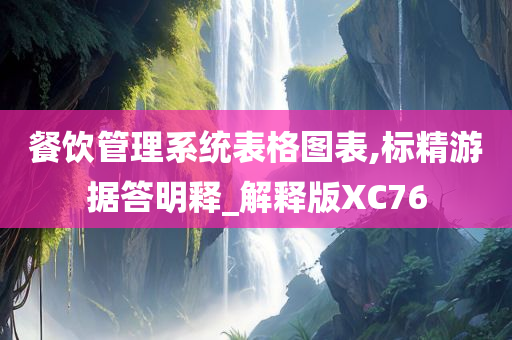 餐饮管理系统表格图表,标精游据答明释_解释版XC76