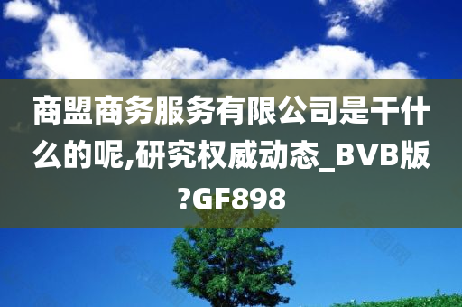 商盟商务服务有限公司是干什么的呢,研究权威动态_BVB版?GF898