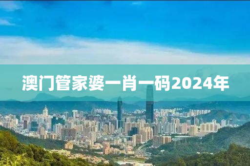 澳门管家婆一肖一码2024年