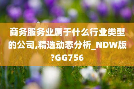 商务服务业属于什么行业类型的公司,精选动态分析_NDW版?GG756