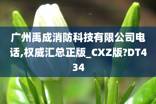 广州禹成消防科技有限公司电话,权威汇总正版_CXZ版?DT434