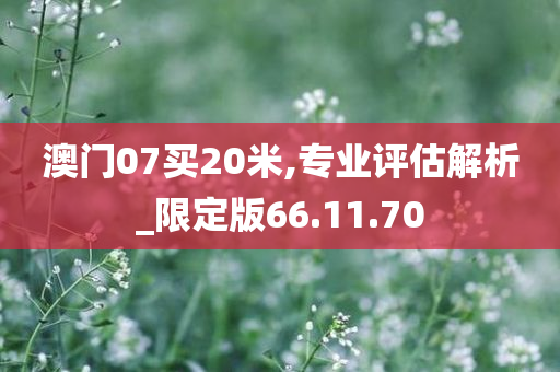 澳门07买20米,专业评估解析_限定版66.11.70