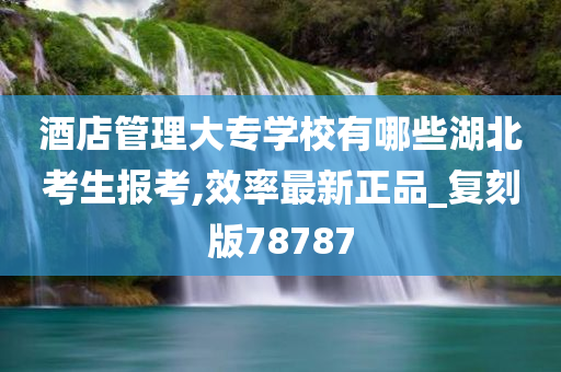 酒店管理大专学校有哪些湖北考生报考,效率最新正品_复刻版78787