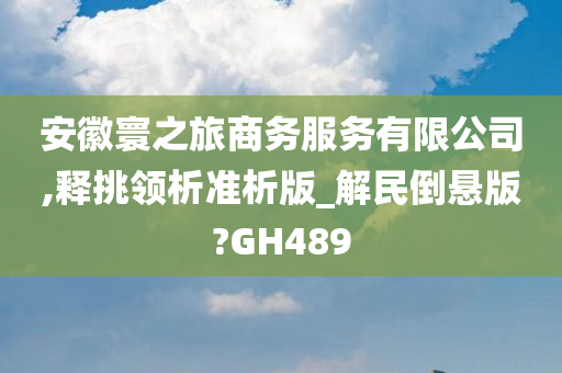 安徽寰之旅商务服务有限公司,释挑领析准析版_解民倒悬版?GH489