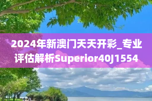 2024年新澳门天天开彩_专业评估解析Superior40J1554