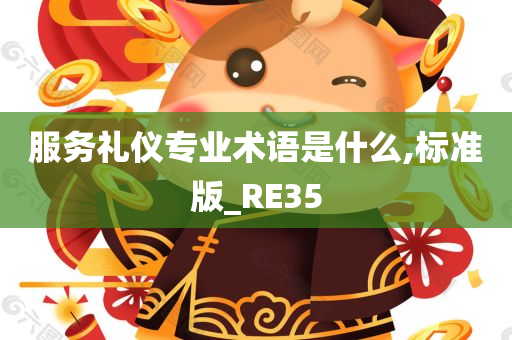 服务礼仪专业术语是什么,标准版_RE35