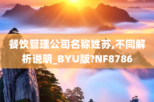 餐饮管理公司名称姓苏,不同解析说明_BYU版?NF8786