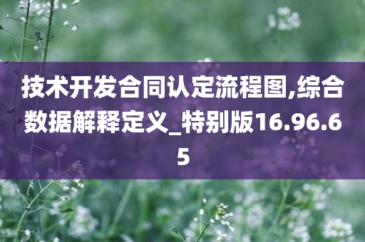 技术开发合同认定流程图,综合数据解释定义_特别版16.96.65