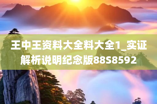 王中王资料大全料大全1_实证解析说明纪念版88S8592