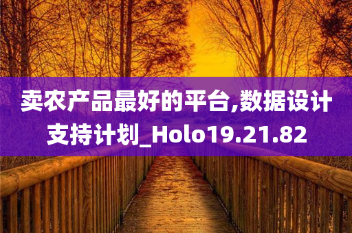 卖农产品最好的平台,数据设计支持计划_Holo19.21.82