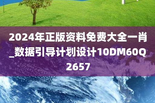 2024年正版资料免费大全一肖_数据引导计划设计10DM60Q2657