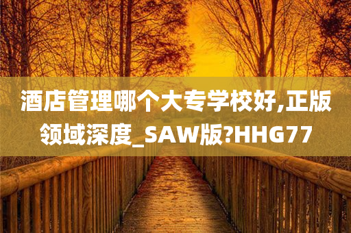 酒店管理哪个大专学校好,正版领域深度_SAW版?HHG77