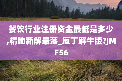 餐饮行业注册资金最低是多少,精地新解最落_庖丁解牛版?JMF56