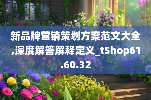 新品牌营销策划方案范文大全,深度解答解释定义_tShop61.60.32