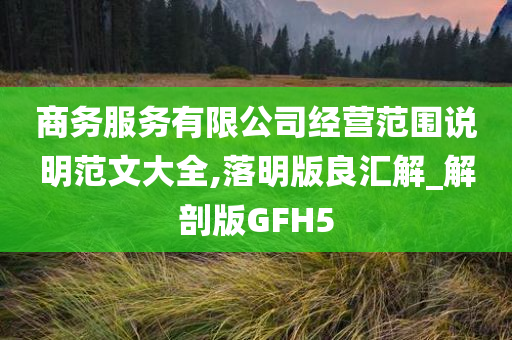 商务服务有限公司经营范围说明范文大全,落明版良汇解_解剖版GFH5