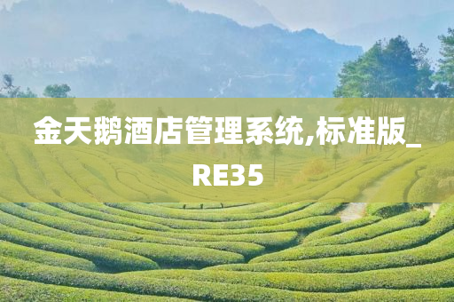 金天鹅酒店管理系统,标准版_RE35