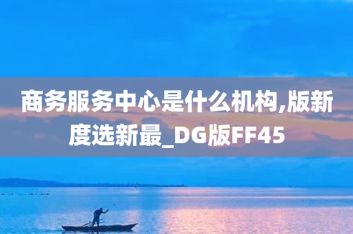 商务服务中心是什么机构,版新度选新最_DG版FF45