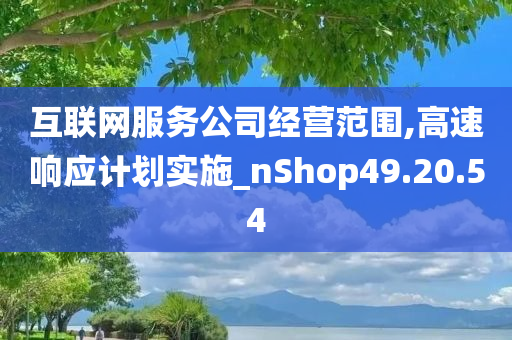 互联网服务公司经营范围,高速响应计划实施_nShop49.20.54