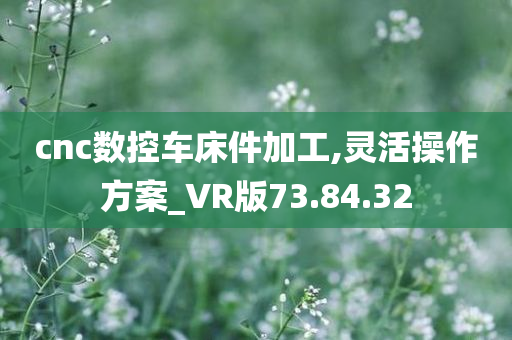 cnc数控车床件加工,灵活操作方案_VR版73.84.32