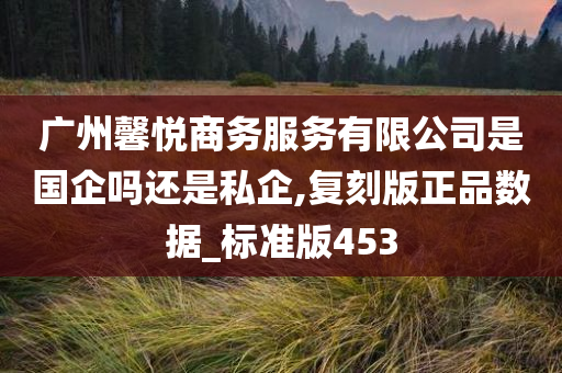 广州馨悦商务服务有限公司是国企吗还是私企,复刻版正品数据_标准版453