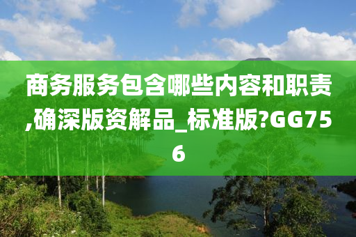 商务服务包含哪些内容和职责,确深版资解品_标准版?GG756