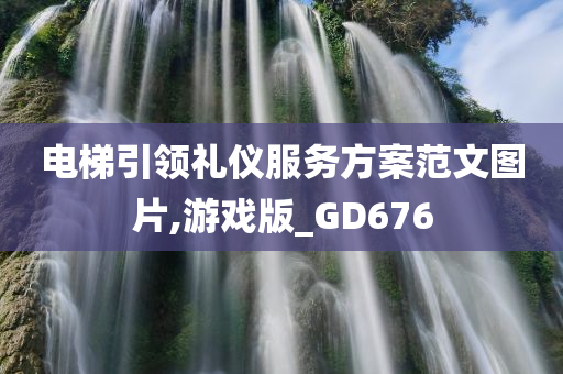 电梯引领礼仪服务方案范文图片,游戏版_GD676