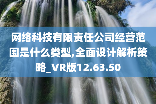 网络科技有限责任公司经营范围是什么类型,全面设计解析策略_VR版12.63.50