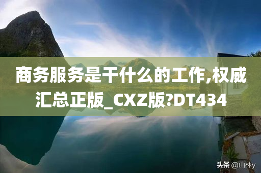 商务服务是干什么的工作,权威汇总正版_CXZ版?DT434