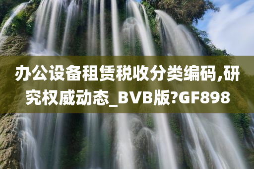 办公设备租赁税收分类编码,研究权威动态_BVB版?GF898