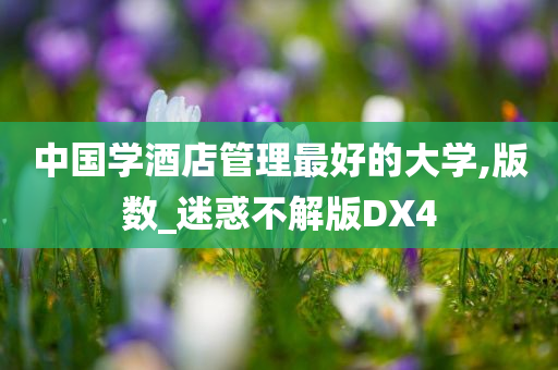 中国学酒店管理最好的大学,版数_迷惑不解版DX4