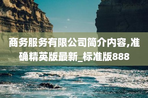 商务服务有限公司简介内容,准确精英版最新_标准版888