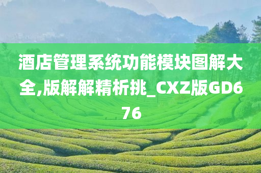 酒店管理系统功能模块图解大全,版解解精析挑_CXZ版GD676