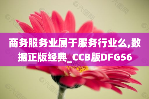 商务服务业属于服务行业么,数据正版经典_CCB版DFG56