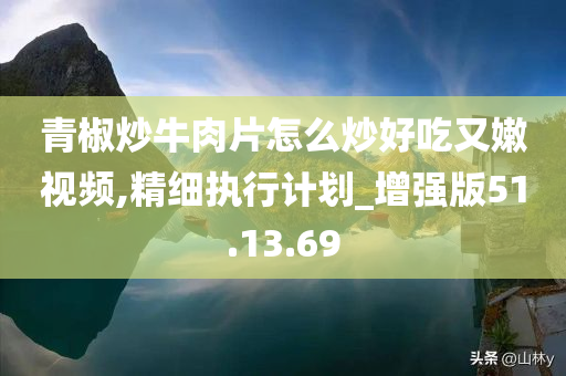 青椒炒牛肉片怎么炒好吃又嫩视频,精细执行计划_增强版51.13.69